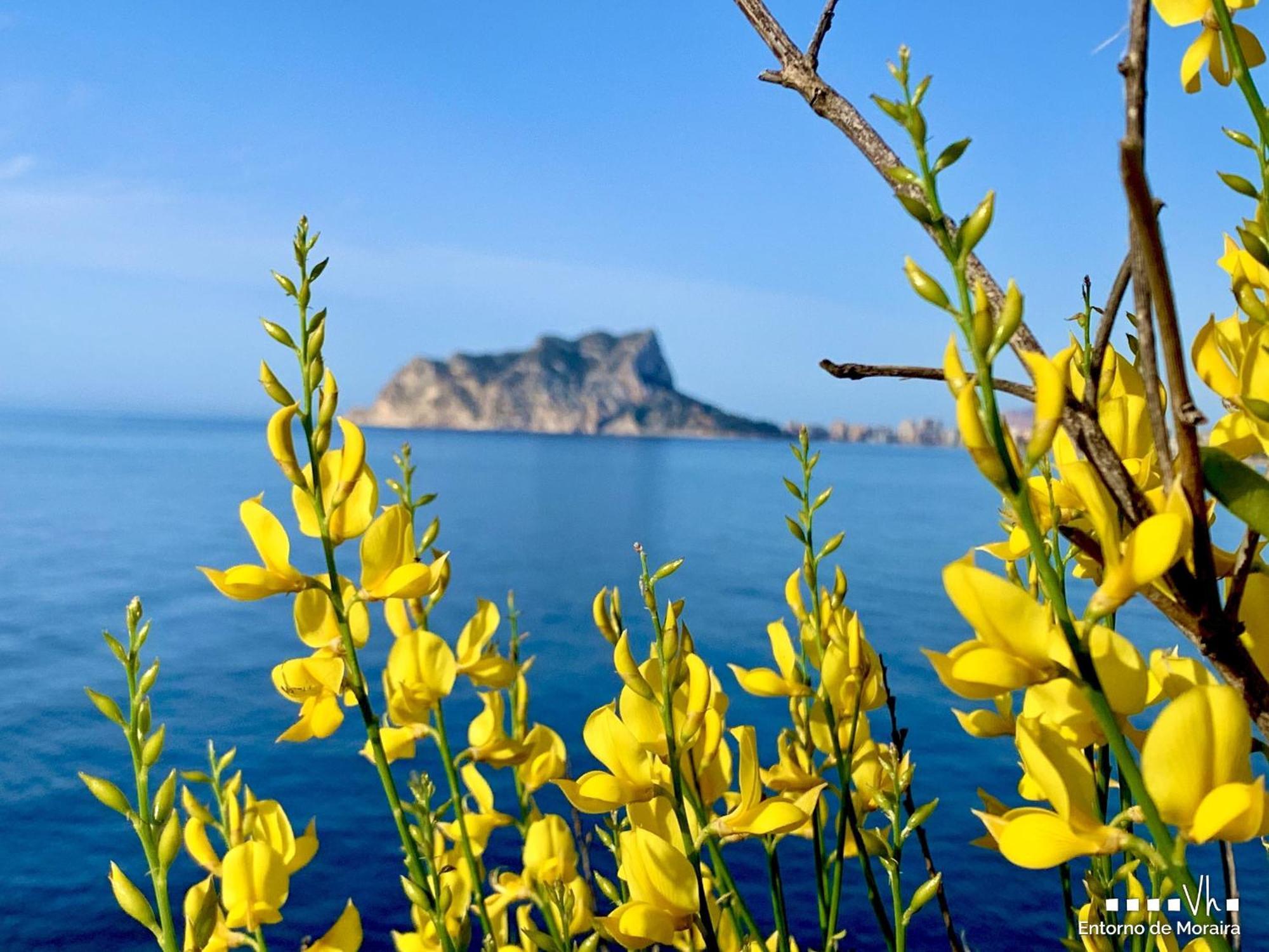 莫莱拉Vh Costablanca - Carmen别墅 外观 照片